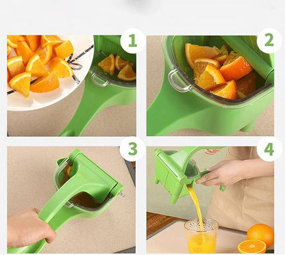 Manual Fruit Press