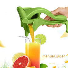 Manual Fruit Press